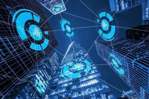 智網(wǎng)安云 東西湖企業(yè)守護(hù)中國(guó)西北網(wǎng)絡(luò)安全，引領(lǐng)網(wǎng)絡(luò)技術(shù)開發(fā)創(chuàng)新